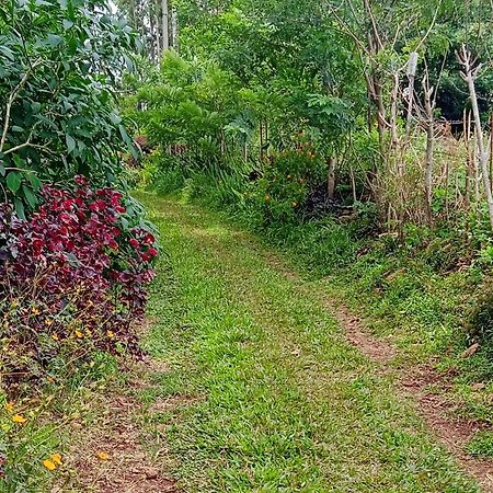 Farmer Homestay イェールカードゥ エクステリア 写真