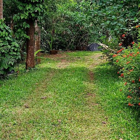 Farmer Homestay イェールカードゥ エクステリア 写真